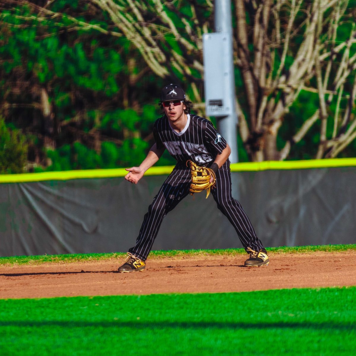 Willie_Prince_Kennesaw_Mountain_baseball.7